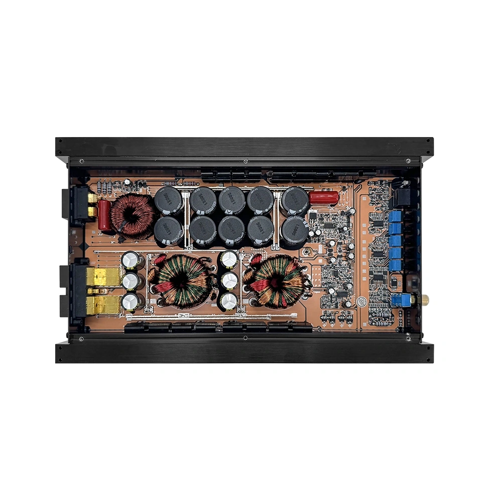 Freude FS-1 V2 Class D Mono Amplifier