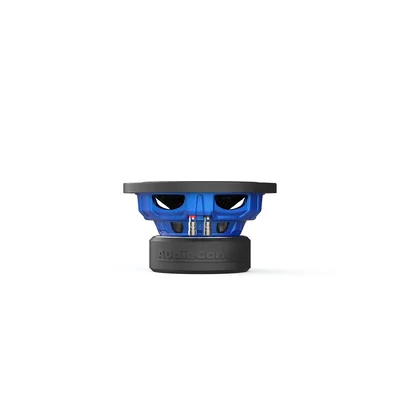 AudioControl Spike 10-Inch 2-Ohm Subwoofer