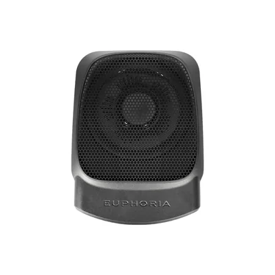 Db drive EPSW10 POWERED 10" SUBWOOFER