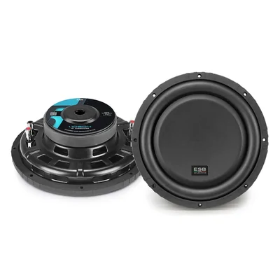 ESB Audio 1-10D4 10'' Shallow Subwoofer D4