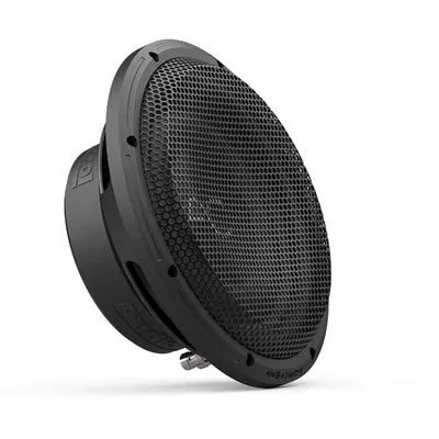 AudioControl Space 10-Inch 2-Ohm Subwoofer
