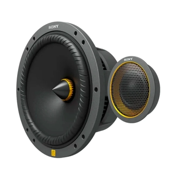 Sony XS-162ES 6.5 Inch 2 Way Mobile ES Component Speakers with Hi Res Audio and 270W Peak Power